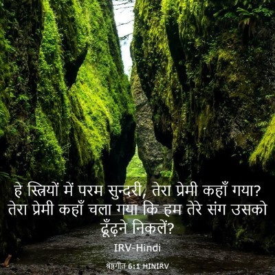 Picture 03 - श्रेष्ठगीत 6:1 HINIRV - हे स्त्रियों में - Bible Verse Picture