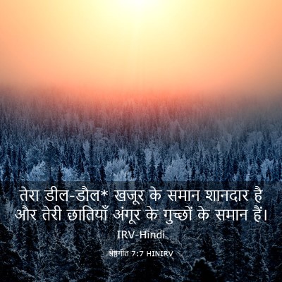 Picture 03 - श्रेष्ठगीत 7:7 HINIRV - तेरा डील-डौल* खजूर - Bible Verse Picture