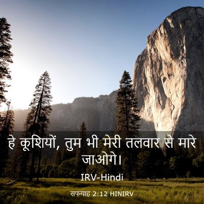 Picture 03 - सपन्याह 2:12 HINIRV - हे कूशियों, तुम भी - Bible Verse Picture