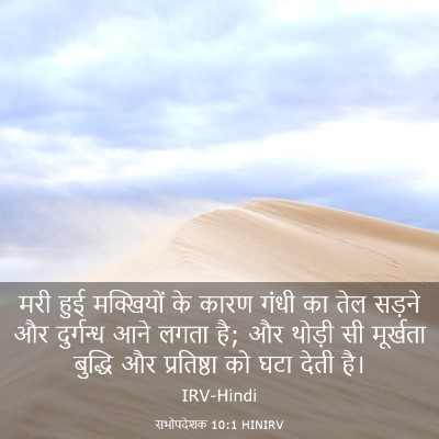 Picture 03 - सभोपदेशक 10:1 HINIRV - मरी हुई मक्खियों - Bible Verse Picture
