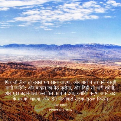 Picture 03 - सभोपदेशक 12:5 HINIRV - फिर जो ऊँचा हो उससे - Bible Verse Picture