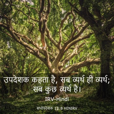 Picture 03 - सभोपदेशक 12:8 HINIRV - उपदेशक कहता है, सब - Bible Verse Picture