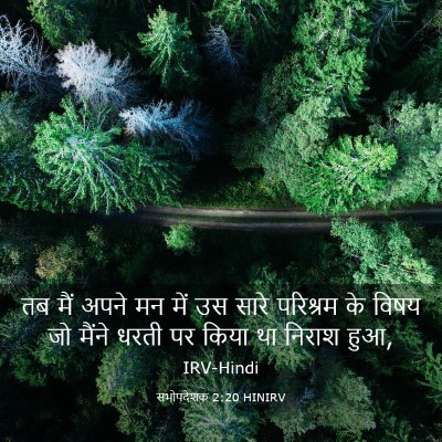 Picture 03 - सभोपदेशक 2:20 HINIRV - तब मैं अपने मन में - Bible Verse Picture