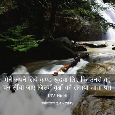 Picture 03 - सभोपदेशक 2:6 HINIRV - मैंने अपने लिये - Bible Verse Picture