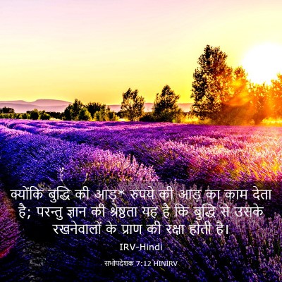 Picture 03 - सभोपदेशक 7:12 HINIRV - क्योंकि बुद्धि की - Bible Verse Picture