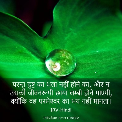 Picture 03 - सभोपदेशक 8:13 HINIRV - परन्तु दुष्ट का - Bible Verse Picture