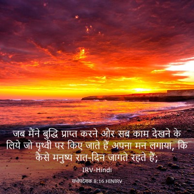 Picture 03 - सभोपदेशक 8:16 HINIRV - जब मैंने बुद्धि - Bible Verse Picture