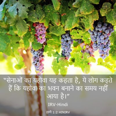 Picture 03 - हाग्गै 1:2 HINIRV - “सेनाओं का यहोवा - Bible Verse Picture