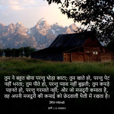 Picture 03 - हाग्गै 1:6 HINIRV - तुम ने बहुत बोया - Bible Verse Picture