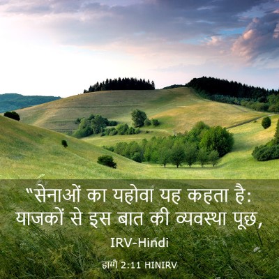 Picture 03 - हाग्गै 2:11 HINIRV - “सेनाओं का यहोवा - Bible Verse Picture