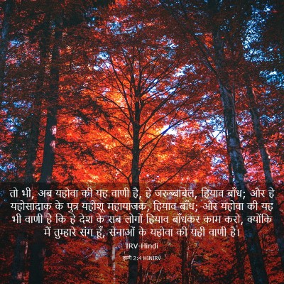 Picture 03 - हाग्गै 2:4 HINIRV - तो भी, अब यहोवा की - Bible Verse Picture