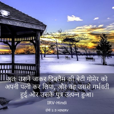 Picture 03 - होशे 1:3 HINIRV - अतः उसने जाकर - Bible Verse Picture