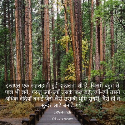 Picture 03 - होशे 10:1 HINIRV - इस्राएल एक - Bible Verse Picture