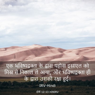Picture 03 - होशे 12:13 HINIRV - एक भविष्यद्वक्ता - Bible Verse Picture