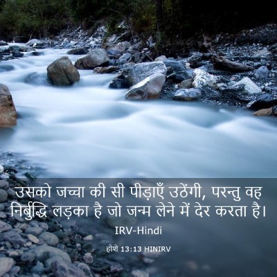 Picture 03 - होशे 13:13 HINIRV - उसको जच्चा की सी - Bible Verse Picture