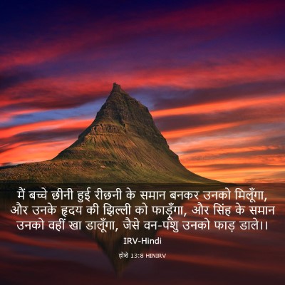 Picture 03 - होशे 13:8 HINIRV - मैं बच्चे छीनी हुई - Bible Verse Picture