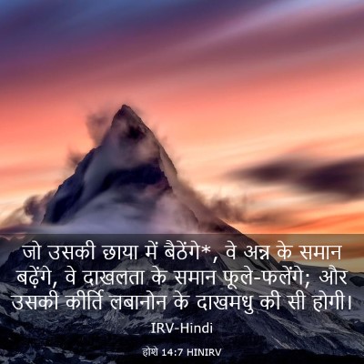 Picture 03 - होशे 14:7 HINIRV - जो उसकी छाया में - Bible Verse Picture