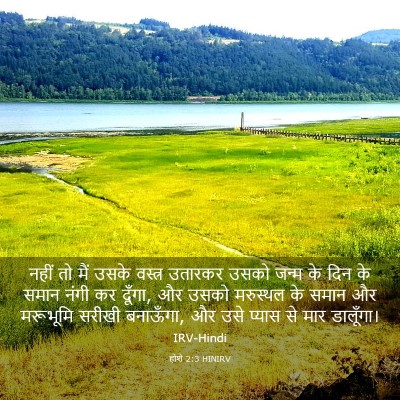 Picture 03 - होशे 2:3 HINIRV - नहीं तो मैं उसके - Bible Verse Picture