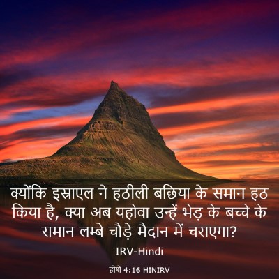 Picture 03 - होशे 4:16 HINIRV - क्‍योंकि इस्राएल - Bible Verse Picture
