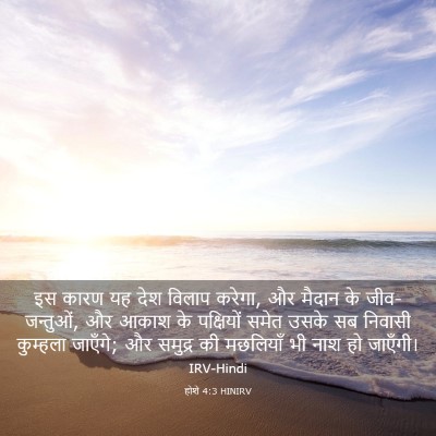 Picture 03 - होशे 4:3 HINIRV - इस कारण यह देश - Bible Verse Picture