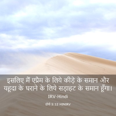 Picture 03 - होशे 5:12 HINIRV - इसलिए मैं एप्रैम - Bible Verse Picture