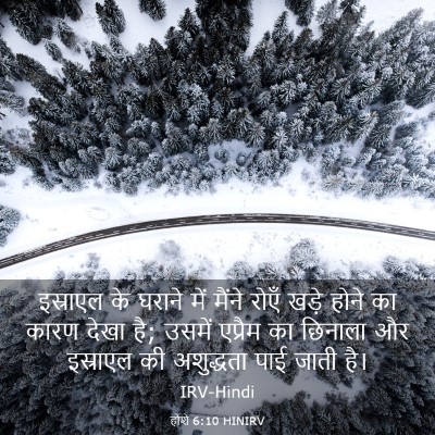 Picture 03 - होशे 6:10 HINIRV - इस्राएल के घराने - Bible Verse Picture
