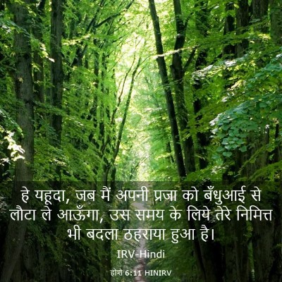 Picture 03 - होशे 6:11 HINIRV - हे यहूदा, जब मैं - Bible Verse Picture