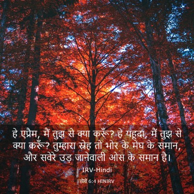 Picture 03 - होशे 6:4 HINIRV - हे एप्रैम, मैं तुझ - Bible Verse Picture