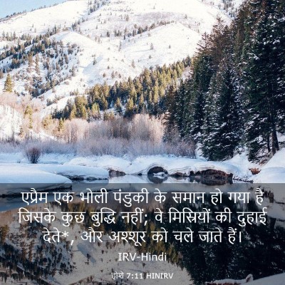 Picture 03 - होशे 7:11 HINIRV - एप्रैम एक भोली - Bible Verse Picture