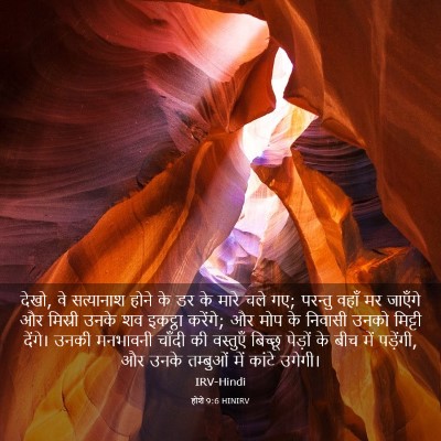 Picture 03 - होशे 9:6 HINIRV - देखो, वे सत्यानाश - Bible Verse Picture