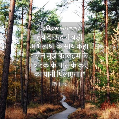 Picture 04 - 1 इतिहास 11:17 HINIRV - तब दाऊद ने बड़ी - Bible Verse Picture