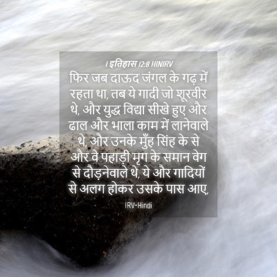 Picture 04 - 1 इतिहास 12:8 HINIRV - फिर जब दाऊद जंगल के - Bible Verse Picture