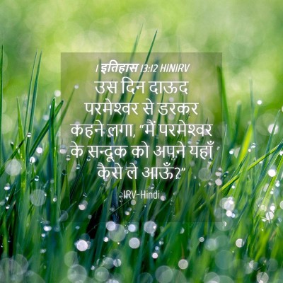 Picture 04 - 1 इतिहास 13:12 HINIRV - उस दिन दाऊद - Bible Verse Picture