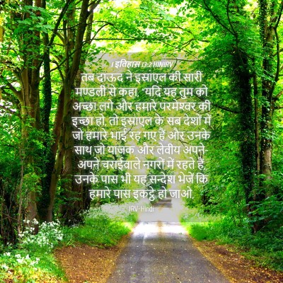 Picture 04 - 1 इतिहास 13:2 HINIRV - तब दाऊद ने इस्राएल - Bible Verse Picture