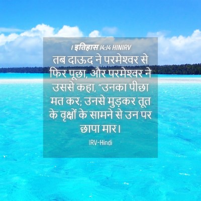 Picture 04 - 1 इतिहास 14:14 HINIRV - तब दाऊद ने - Bible Verse Picture