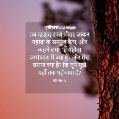 Picture 04 - 1 इतिहास 17:16 HINIRV - तब दाऊद राजा भीतर - Bible Verse Picture