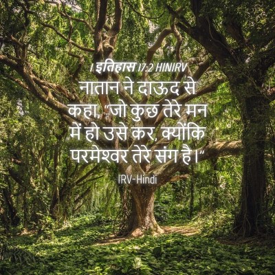 Picture 04 - 1 इतिहास 17:2 HINIRV - नातान ने दाऊद से - Bible Verse Picture