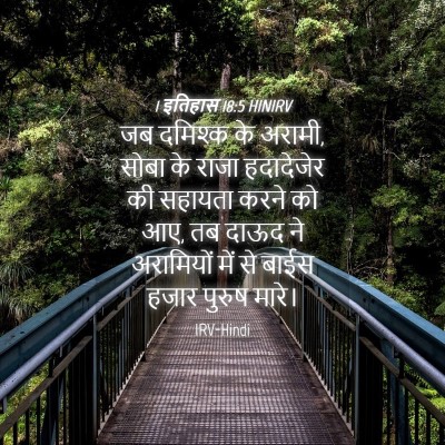 Picture 04 - 1 इतिहास 18:5 HINIRV - जब दमिश्क के अरामी, - Bible Verse Picture