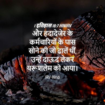 Picture 04 - 1 इतिहास 18:7 HINIRV - और हदादेजेर के - Bible Verse Picture