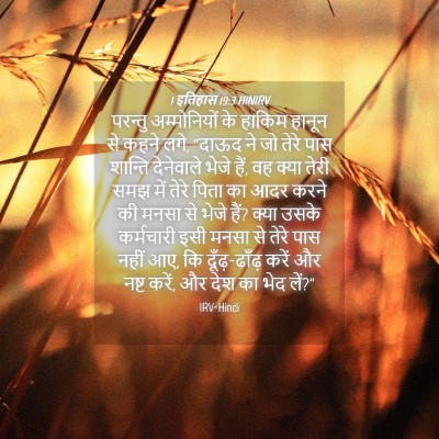 Picture 04 - 1 इतिहास 19:3 HINIRV - परन्तु अम्मोनियों - Bible Verse Picture