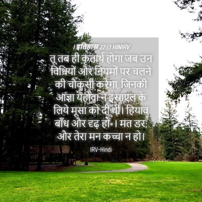 Picture 04 - 1 इतिहास 22:13 HINIRV - तू तब ही कृतार्थ - Bible Verse Picture