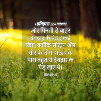 Picture 04 - 1 इतिहास 22:4 HINIRV - और गिनती से बाहर - Bible Verse Picture