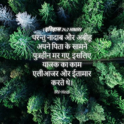 Picture 04 - 1 इतिहास 24:2 HINIRV - परन्तु नादाब और - Bible Verse Picture