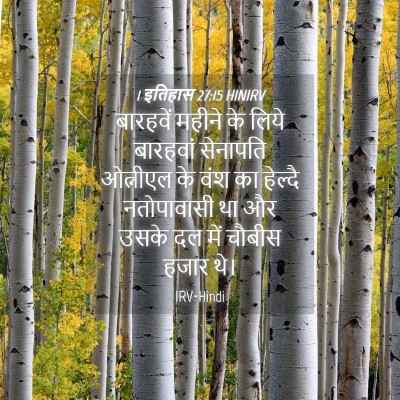 Picture 04 - 1 इतिहास 27:15 HINIRV - बारहवें महीने के - Bible Verse Picture