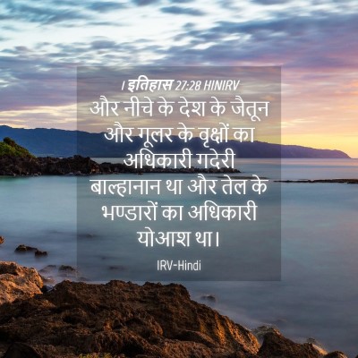 Picture 04 - 1 इतिहास 27:28 HINIRV - और नीचे के देश के - Bible Verse Picture