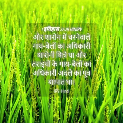Picture 04 - 1 इतिहास 27:29 HINIRV - और शारोन में - Bible Verse Picture