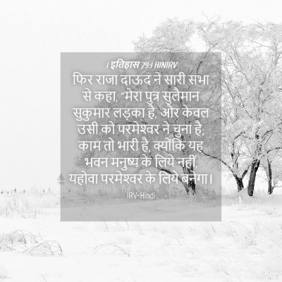 Picture 04 - 1 इतिहास 29:1 HINIRV - फिर राजा दाऊद ने - Bible Verse Picture