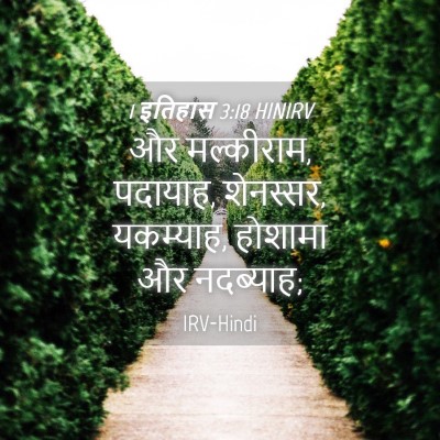 Picture 04 - 1 इतिहास 3:18 HINIRV - और मल्कीराम, - Bible Verse Picture
