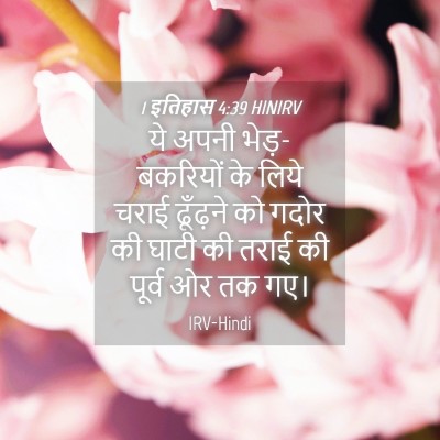 Picture 04 - 1 इतिहास 4:39 HINIRV - ये अपनी - Bible Verse Picture