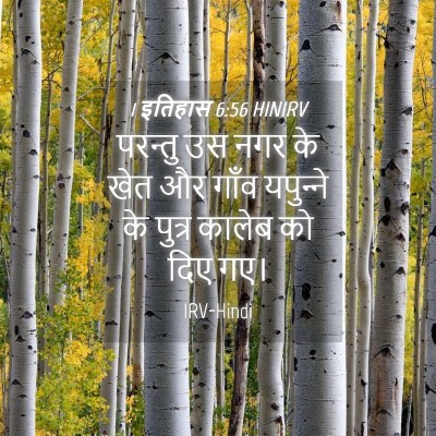 Picture 04 - 1 इतिहास 6:56 HINIRV - परन्तु उस नगर के - Bible Verse Picture